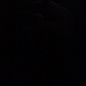 Meet your Posher, Danitza